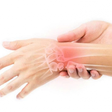 Wsport Vietnam - Shop Cầu lông Chính Hãng