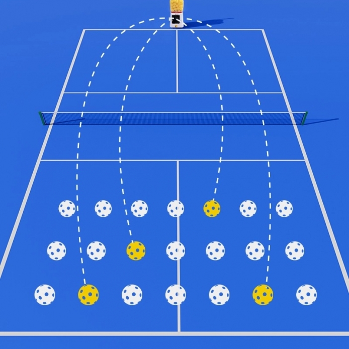 Wsport Vietnam - Shop Cầu lông Chính Hãng